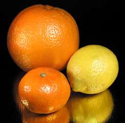 Квасим, солим, маринуем: лимоны и другие цитрусы
